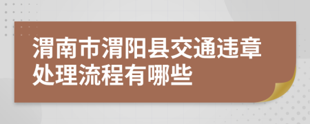 渭南市渭阳县交通违章处理流程有哪些