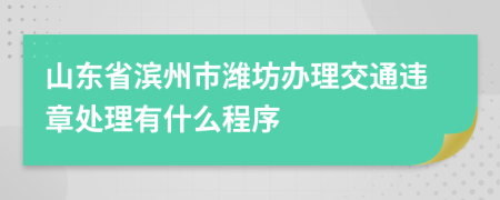 山东省滨州市潍坊办理交通违章处理有什么程序