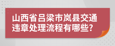 山西省吕梁市岚县交通违章处理流程有哪些?