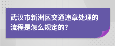 武汉市新洲区交通违章处理的流程是怎么规定的?