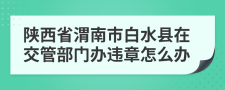 陕西省渭南市白水县在交管部门办违章怎么办