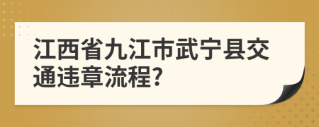 江西省九江市武宁县交通违章流程?