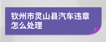 钦州市灵山县汽车违章怎么处理