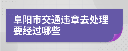 阜阳市交通违章去处理要经过哪些