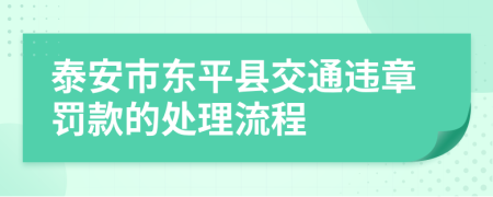 泰安市东平县交通违章罚款的处理流程