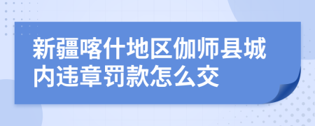 新疆喀什地区伽师县城内违章罚款怎么交