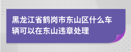 黑龙江省鹤岗市东山区什么车辆可以在东山违章处理