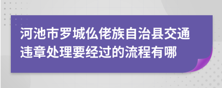 河池市罗城仫佬族自治县交通违章处理要经过的流程有哪