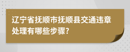 辽宁省抚顺市抚顺县交通违章处理有哪些步骤?