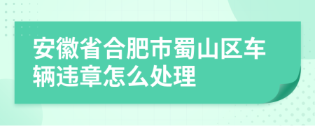 安徽省合肥市蜀山区车辆违章怎么处理