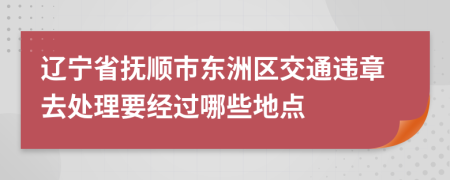 辽宁省抚顺市东洲区交通违章去处理要经过哪些地点