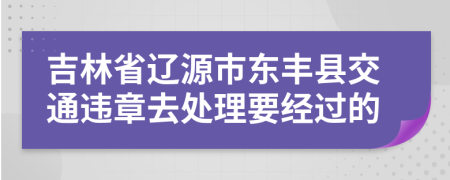 吉林省辽源市东丰县交通违章去处理要经过的