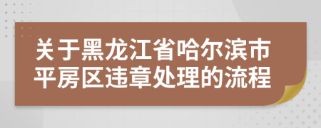 关于黑龙江省哈尔滨市平房区违章处理的流程