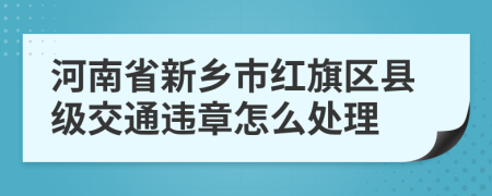 河南省新乡市红旗区县级交通违章怎么处理