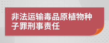 非法运输毒品原植物种子罪刑事责任