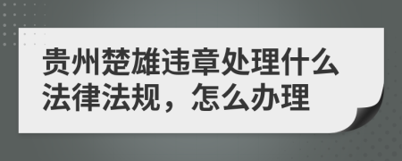 贵州楚雄违章处理什么法律法规，怎么办理