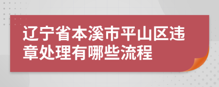 辽宁省本溪市平山区违章处理有哪些流程