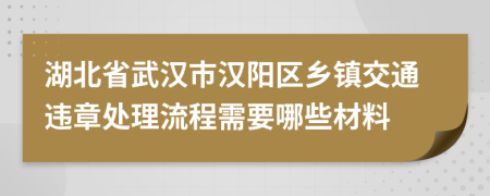 湖北省武汉市汉阳区乡镇交通违章处理流程需要哪些材料