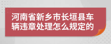 河南省新乡市长垣县车辆违章处理怎么规定的