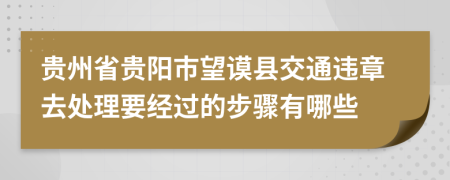 贵州省贵阳市望谟县交通违章去处理要经过的步骤有哪些