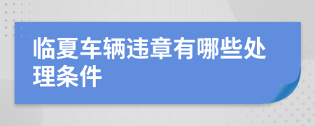 临夏车辆违章有哪些处理条件