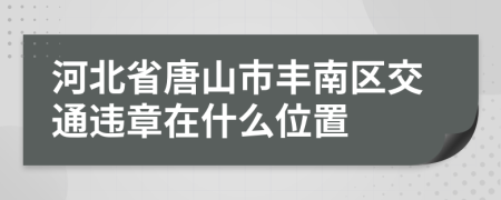 河北省唐山市丰南区交通违章在什么位置