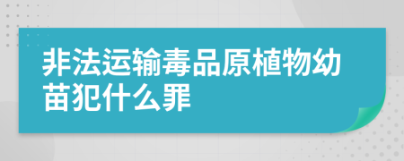 非法运输毒品原植物幼苗犯什么罪