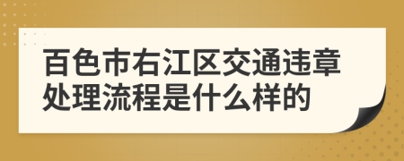 百色市右江区交通违章处理流程是什么样的