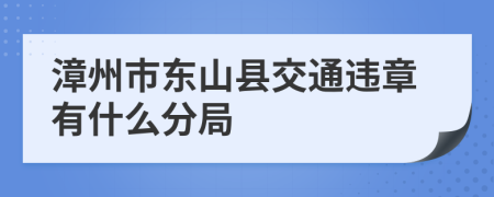 漳州市东山县交通违章有什么分局