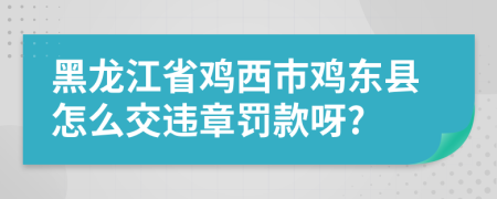 黑龙江省鸡西市鸡东县怎么交违章罚款呀?