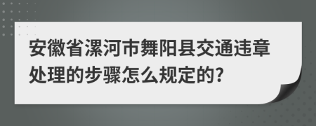 安徽省漯河市舞阳县交通违章处理的步骤怎么规定的?
