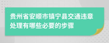 贵州省安顺市镇宁县交通违章处理有哪些必要的步骤