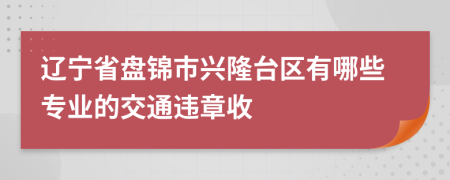 辽宁省盘锦市兴隆台区有哪些专业的交通违章收