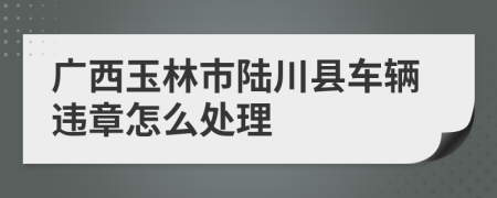 广西玉林市陆川县车辆违章怎么处理