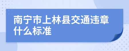 南宁市上林县交通违章什么标准