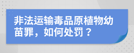 非法运输毒品原植物幼苗罪，如何处罚？