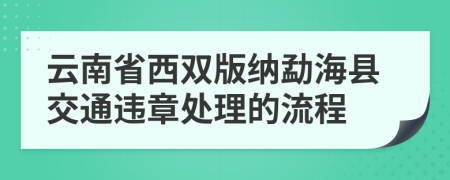 云南省西双版纳勐海县交通违章处理的流程