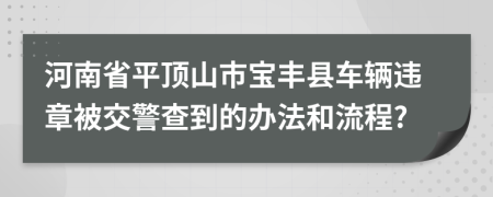 河南省平顶山市宝丰县车辆违章被交警查到的办法和流程?