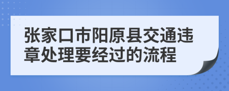 张家口市阳原县交通违章处理要经过的流程