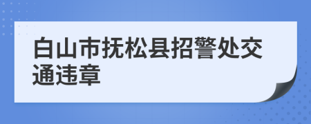 白山市抚松县招警处交通违章