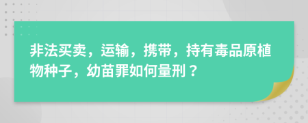 非法买卖，运输，携带，持有毒品原植物种子，幼苗罪如何量刑？