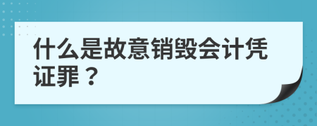 什么是故意销毁会计凭证罪？