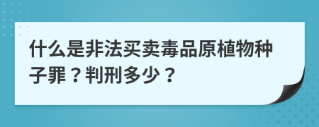 什么是非法买卖毒品原植物种子罪？判刑多少？