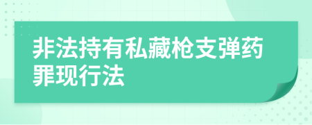 非法持有私藏枪支弹药罪现行法