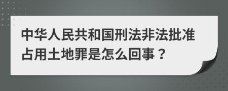 中华人民共和国刑法非法批准占用土地罪是怎么回事？