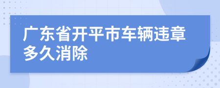 广东省开平市车辆违章多久消除