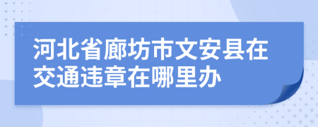 河北省廊坊市文安县在交通违章在哪里办