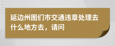 延边州图们市交通违章处理去什么地方去，请问