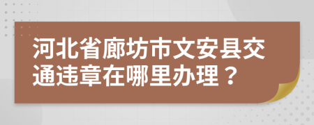 河北省廊坊市文安县交通违章在哪里办理？