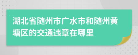 湖北省随州市广水市和随州黄塘区的交通违章在哪里